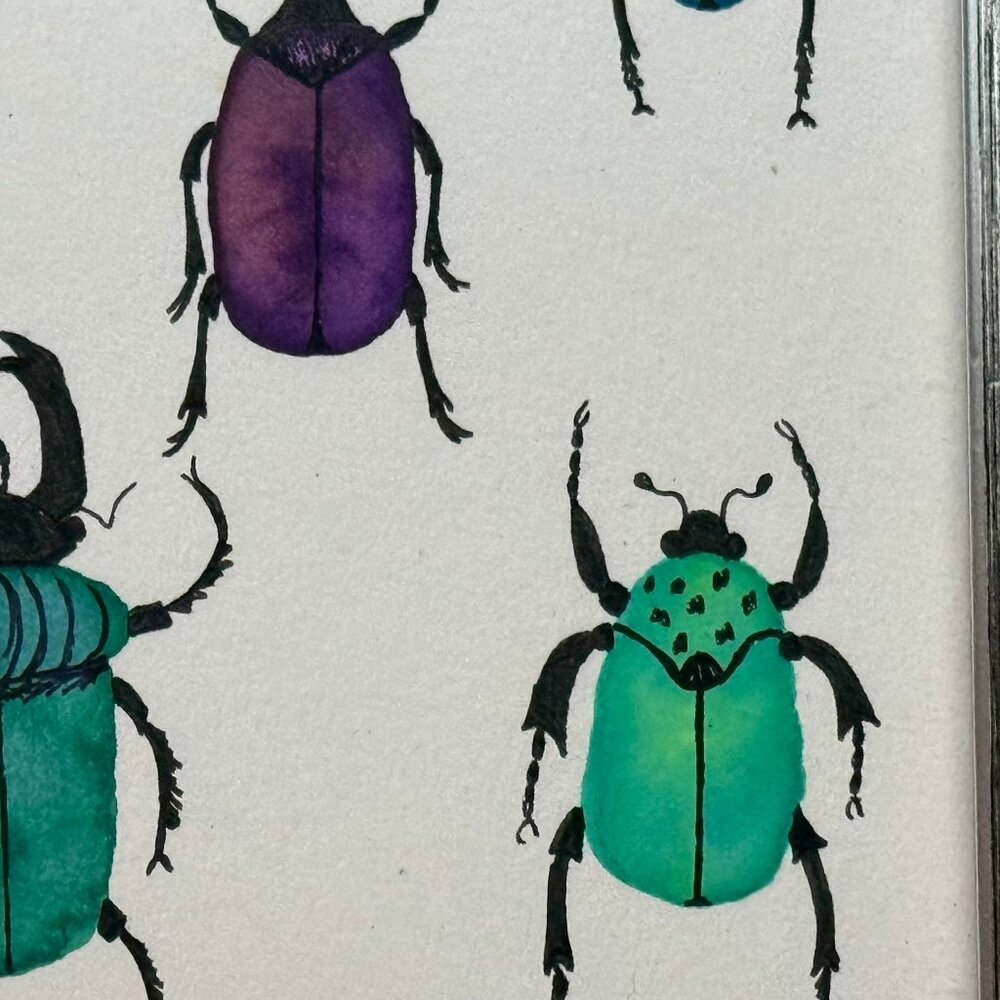 Art Watercolor and Ink Beetles Framed Handmade - Picture 2 of 3